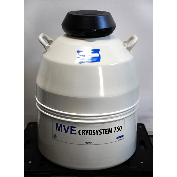 液体窒素凍結保存容器 CryoSystem750　TOCS75000　MVE-11886450｜中古・レンタル　インターリンク