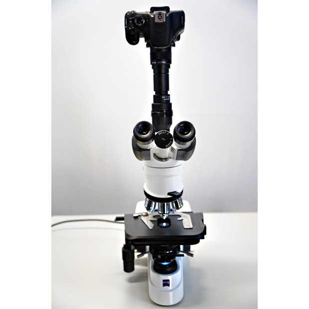 検査用正立生物顕微鏡（明視野検鏡）　Axio Lab A1 BF｜中古・レンタル　インターリンク