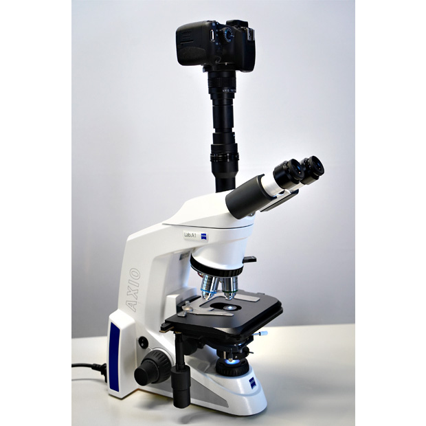 検査用正立生物顕微鏡（明視野検鏡）　Axio Lab A1 BF｜中古・レンタル　インターリンク