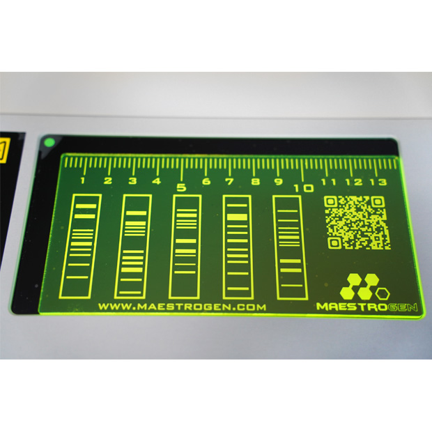 ミニゲル用小型UVトランスイルミネーター　UV302-MINI｜中古・レンタル　インターリンク