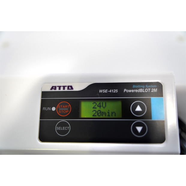 電源付きセミドライブロッティング装置　パワードブロット2M　WSE-4125（2322496）｜中古・レンタル　インターリンク