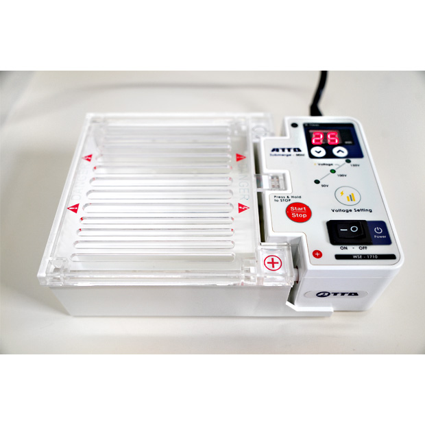 ポリアクリルアミドゲル電気泳動装置　Submerge-Mini　サブマージ・ミニ　WSE-1710｜中古・レンタル　インターリンク