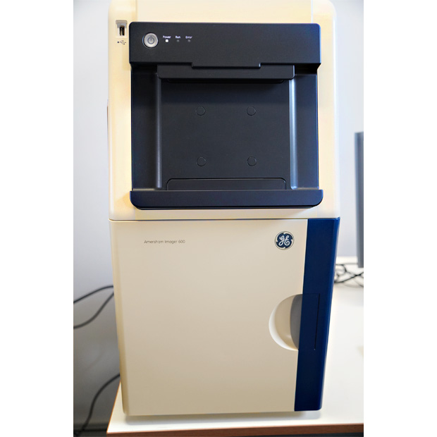 画像解析装置　ルミノ・イメージアナライザー　Amersham Imager 600 QC｜中古・レンタル　インターリンク